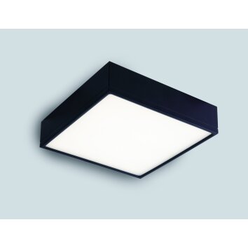 Luce-Design Klio Lámpara de Techo LED Negro, 1 luz