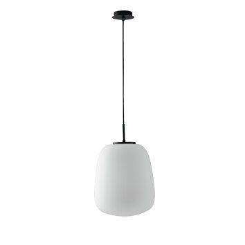 Luce-Design Tolomeo Lámpara Colgante Negro, 1 luz