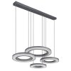 Globo BLASIUS Lámpara Colgante LED Negro, 1 luz, Mando a distancia