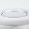 Buris Lámpara de Techo LED Blanca, 1 luz