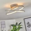 Demaine Lámpara de Techo LED Gris, 1 luz