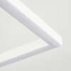 Vaseux Lámpara de Techo LED Blanca, 1 luz