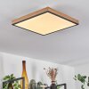 Salmi Lámpara de Techo LED Marrón, Color madera, Negro, 1 luz, Mando a distancia