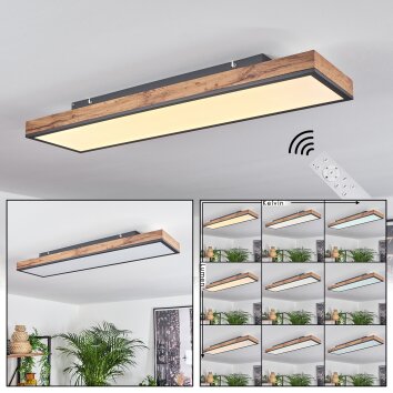 Salmi Lámpara de Techo LED Marrón, Color madera, Negro, 1 luz, Mando a distancia