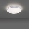 Leuchten-Direkt COLIN Lámpara de Techo LED Blanca, 1 luz