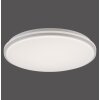 Leuchten-Direkt COLIN Lámpara de Techo LED Blanca, 1 luz