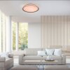 Leuchten-Direkt LOLAsmart-KARI Lámpara de Techo LED Plata, 1 luz, Mando a distancia, Cambia de color