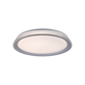 Leuchten-Direkt KARI Lámpara de Techo LED Plata, 1 luz