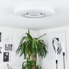 Page Lámpara de Techo LED Blanca, 2 luces, Mando a distancia, Cambia de color