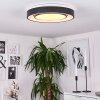 Page Lámpara de Techo LED Negro, Blanca, 2 luces, Mando a distancia, Cambia de color