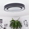 Page Lámpara de Techo LED Negro, Blanca, 2 luces, Mando a distancia, Cambia de color