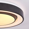 Page Lámpara de Techo LED Negro, Blanca, 2 luces, Mando a distancia, Cambia de color