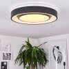 Page Lámpara de Techo LED Negro, Blanca, 2 luces, Mando a distancia, Cambia de color