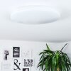 Weesen Lámpara de Techo LED Blanca, 1 luz, Sensor de movimiento