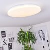 Weesen Lámpara de Techo LED Blanca, 1 luz, Sensor de movimiento