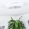 Vogorno Lámpara de Techo LED Blanca, 1 luz