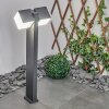 Swanek Poste de Jardín LED Antracita, 1 luz