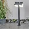 Swanek Poste de Jardín LED Antracita, 1 luz