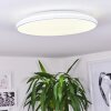Bergell Lámpara de Techo LED Blanca, 1 luz