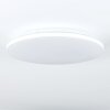 Bergell Lámpara de Techo LED Blanca, 1 luz
