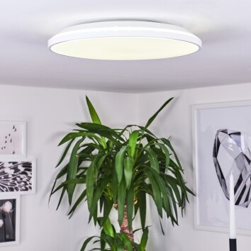 Bergell Lámpara de Techo LED Blanca, 1 luz Bergell Lámpara de Techo LED Blanca, 1 luz