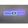 Trio-Leuchten Ganado Lámpara de Techo LED Negro, 2 luces, Mando a distancia, Cambia de color