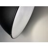 Fischer-Honsel Thor Lámpara Colgante Negro, 1 luz