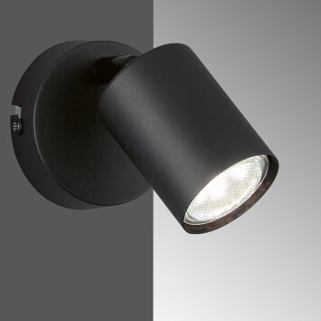 Fischer-Honsel Vano Aplique Negro, 1 luz