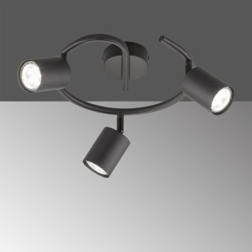 Fischer-Honsel Vano Lámpara de Techo Negro, 4 luces
