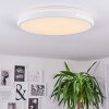 Seewen Lámpara de Techo LED Blanca, 1 luz, Mando a distancia