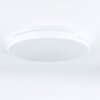 Seewen Lámpara de Techo LED Blanca, 1 luz, Mando a distancia