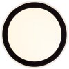 Brilliant Pederson Lámpara de Techo LED Negro, 1 luz