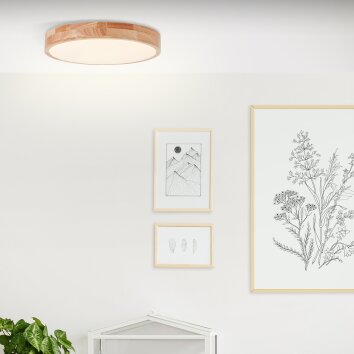 Brilliant Slimline Lámpara de Techo LED Blanca, 1 luz