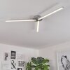 Mohlin Lámpara de Techo LED Níquel-mate, 3 luces