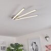 Mohlin Lámpara de Techo LED Níquel-mate, 3 luces