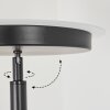 Busswil Lámpara de Pie LED Negro, 2 luces