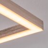 Buren Lámpara de Techo LED Níquel-mate, 1 luz