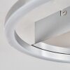 Buren Lámpara de Techo LED Níquel-mate, 1 luz