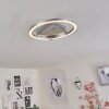 Buren Lámpara de Techo LED Níquel-mate, 1 luz