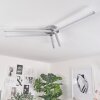 Mohlin Lámpara de Techo LED Níquel-mate, 5 luces