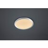 Trio-Leuchten Cinzia Lámpara de Techo LED Cromo, 1 luz