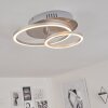 Mohlin Lámpara de Techo LED Níquel-mate, 1 luz