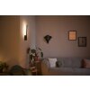 Philips Hue White & Color Ambiance Liane Aplique LED Negro, 1 luz, Cambia de color