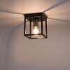 Leuchten-Direkt FABIO Lámpara de Techo Latón, Negro, 1 luz