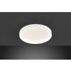 Wofi-Leuchten DUBAI Lámpara de Techo LED Blanca, 1 luz
