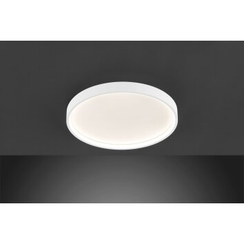 Wofi-Leuchten DUBAI Lámpara de Techo LED Blanca, 1 luz
