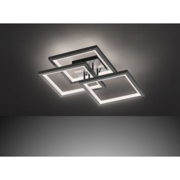 Wofi-Leuchten MURIEL Lámpara de Techo LED Gris, 1 luz
