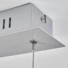Bernese Lámpara Colgante LED Níquel-mate, 3 luces