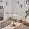 Bernese Lámpara Colgante LED Níquel-mate, 3 luces