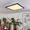 Gailingen Lámpara de Techo LED Blanca, 1 luz